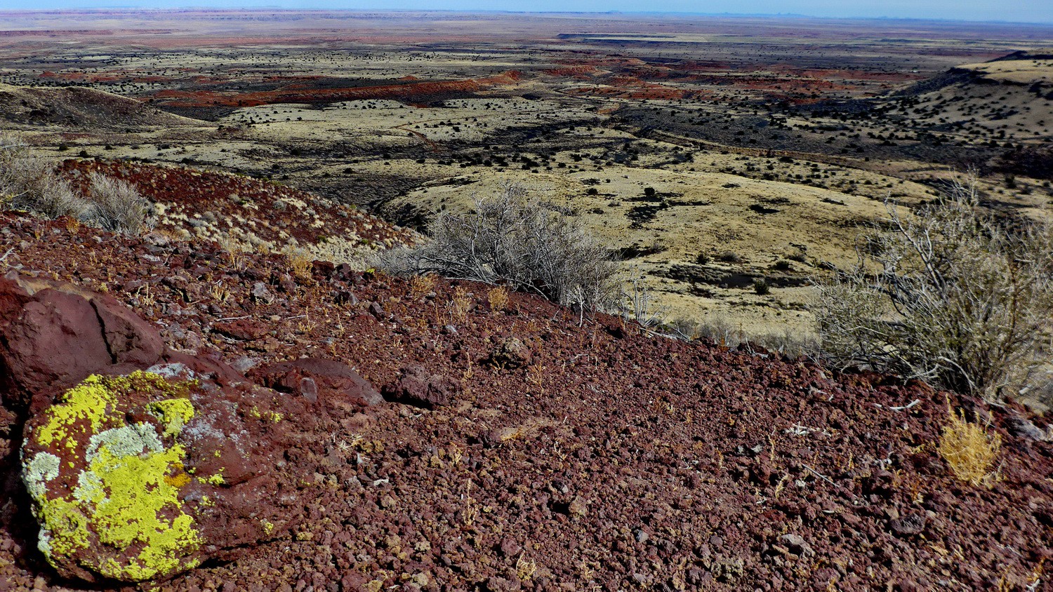 Painted Desert from the southern summit of Doney Mountain